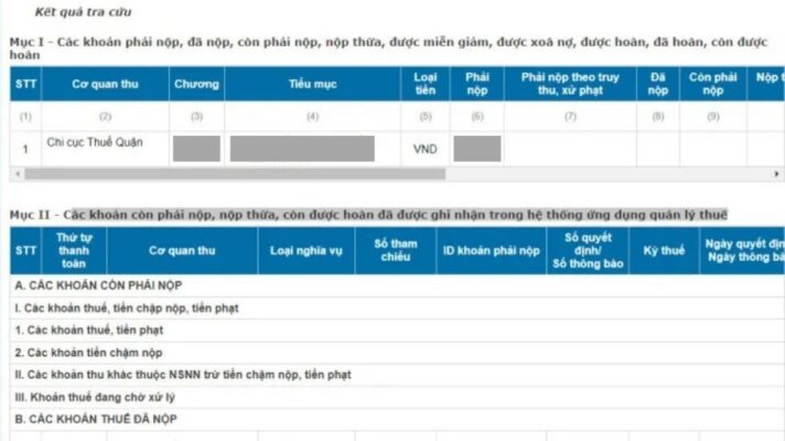 Màn hình kết quả tra cứu nghĩa vụ thuế thu nhập cá nhân
